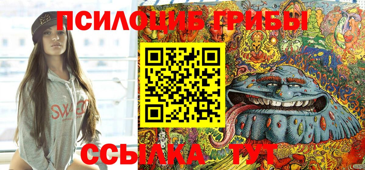Галлюциногенные грибы GOLDEN TEACHER  Вход с VPN  Долгопрудный  Псилоцибиновые грибы Magic Shrooms 